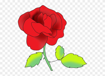 Flower Image Gallery Red Rose - Portable Network Graphics