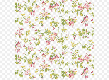 Flower Image resolution - floral background shading high-resolution images 