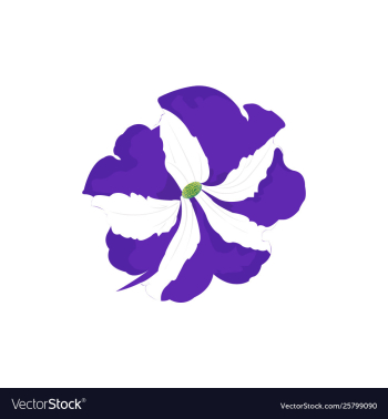 Flower image vector image Flower image vector image