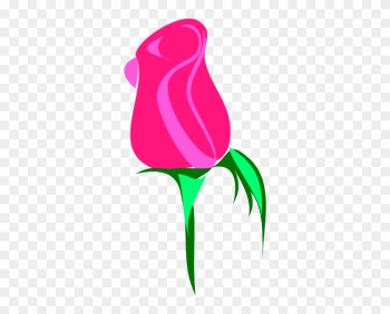 Flower Images Small Size Flower Images Small Size