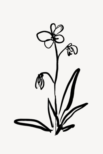 Flower ink brush, aesthetic line | Free Photo - rawpixel