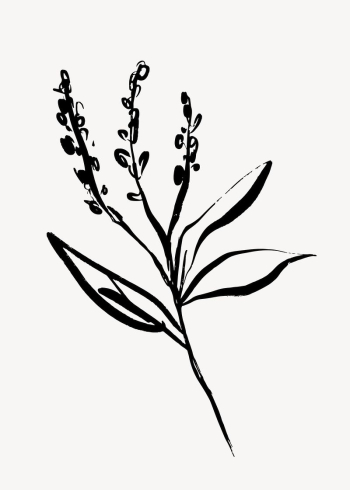 Flower ink brush, aesthetic line | Free Photo - rawpixel