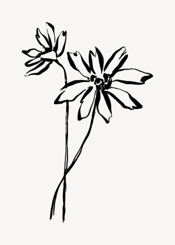 Flower ink brush, aesthetic line | Free Photo - rawpixel