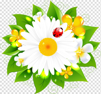 Flower , ladybug transparent background PNG clipart Flower , ladybug transparent background PNG clipart