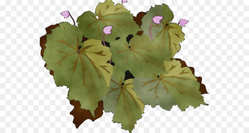 flower leaf plant petal flowering plant flower leaf plant petal flowering plant