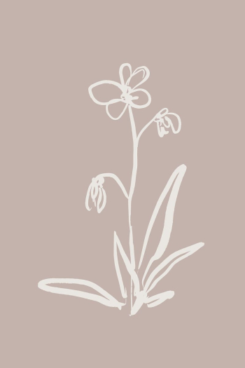 Flower line art, Chinese brush | Free Photo - rawpixel