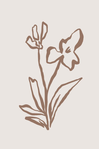 Flower line art, Chinese brush | Free Photo - rawpixel