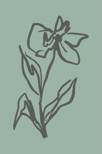 Flower line art, Chinese brush | Free Photo - rawpixel