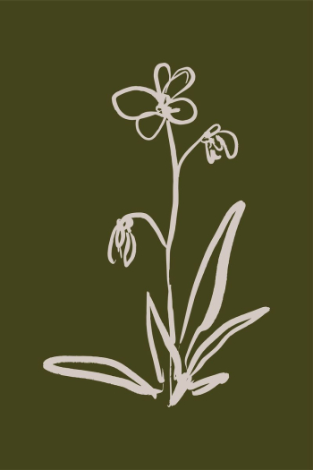 Flower line art, Chinese brush | Free Photo - rawpixel