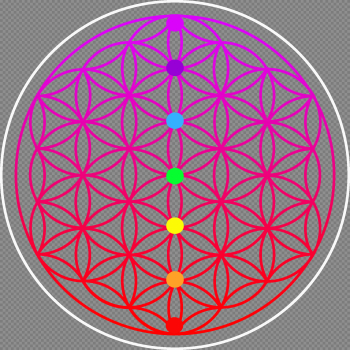 Flower Of Life Png (95+ images in Collection) Page 3