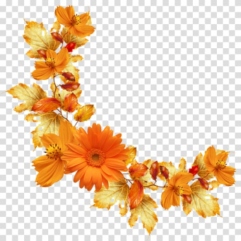 Flower Orange Paper , floral boarder transparent background PNG clipart