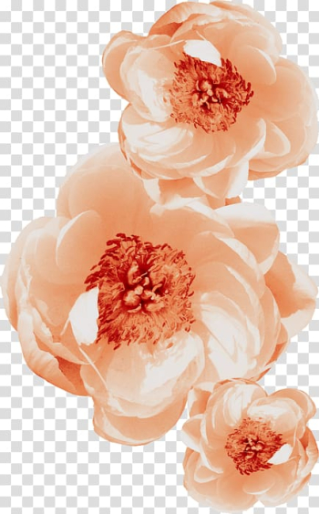 Flower Painting, flower transparent background PNG clipart Flower Painting, flower transparent background PNG clipart