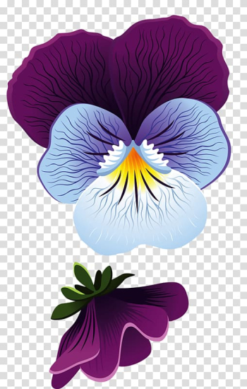 Flower Pansy Leaf , Purple Hibiscus transparent background PNG clipart