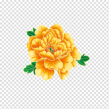 Flower, peony transparent background PNG clipart Flower, peony transparent background PNG clipart
