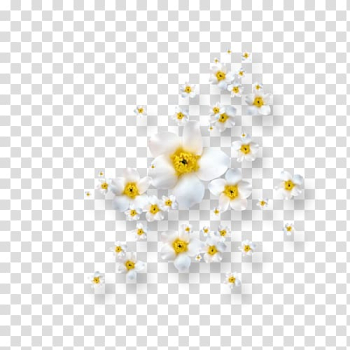 Flower Petal , flower transparent background PNG clipart Flower Petal , flower transparent background PNG clipart