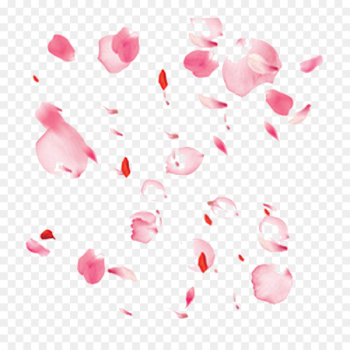Flower Petal - Peach petals Flower Petal - Peach petals
