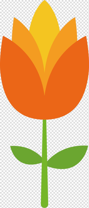 Flower Petal Tulip , Tulip flower material transparent background PNG clipart Flower Petal Tulip , Tulip flower material transparent background PNG clipart