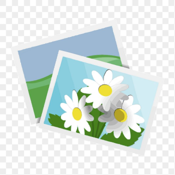 Flower photos png sticker, album | Free PNG - rawpixel