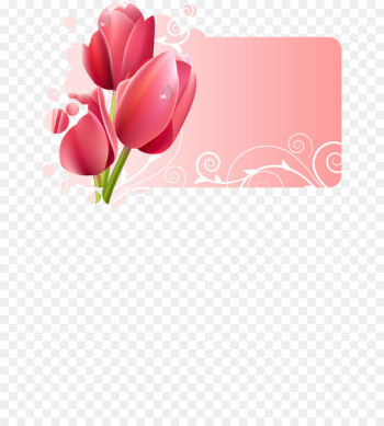 Flower Picture frame Tulip Floral design - Romantic tulip border dialog title 