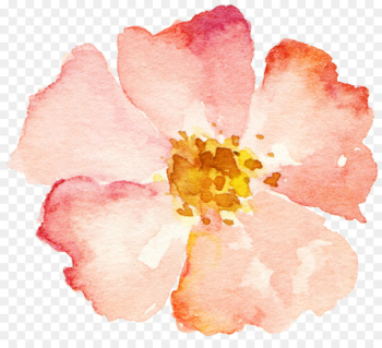 Flower Pink - Hand-painted watercolor flower pink Flower Pink - Hand-painted watercolor flower pink