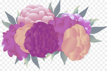 flower pink petal violet purple flower pink petal violet purple