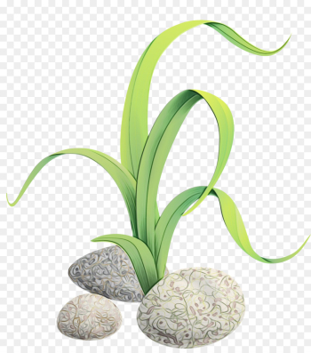 flower plant aquarium decor houseplant flowering plant flower plant aquarium decor houseplant flowering plant