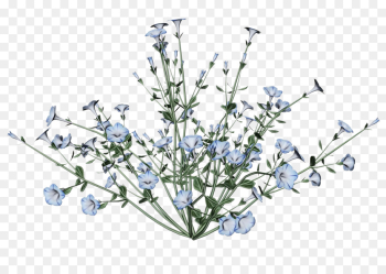 flower plant branch flowering plant twig flower plant branch flowering plant twig
