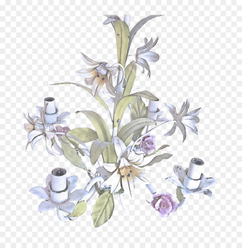 flower plant flowering plant lily delphinium flower plant flowering plant lily delphinium