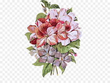 flower plant flowering plant petal bouquet flower plant flowering plant petal bouquet