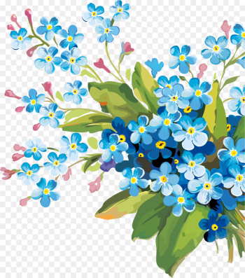 flower plant forget-me-not branch flowering plant