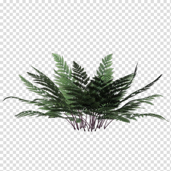 Flower Plant , green plant transparent background PNG clipart Flower Plant , green plant transparent background PNG clipart