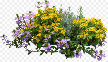 Flower Plant Shrub - bushes Flower Plant Shrub - bushes