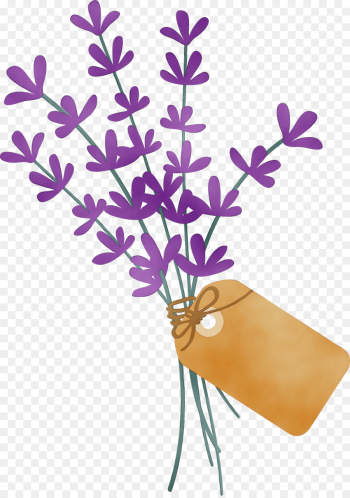 flower plant violet branch flowerpot flower plant violet branch flowerpot