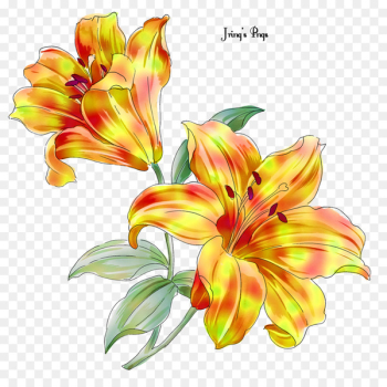 Flower Portable Network Graphics Lily Floral design Fleur-de-lis - flower 