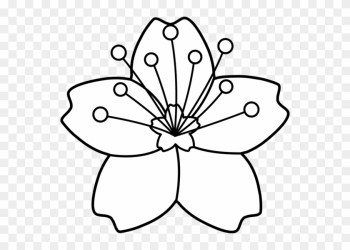 Flower Pot Outline Free Clipart - Sakura Flower Coloring Pages Flower Pot Outline Free Clipart - Sakura Flower Coloring Pages