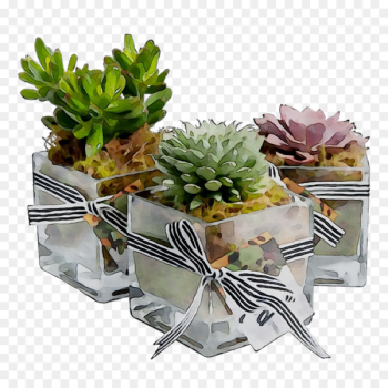 Flower Product - Flower Product -