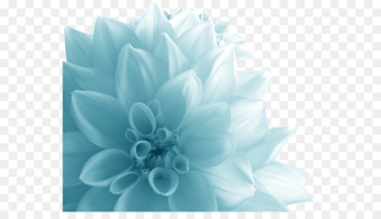 Flower Quotation Petal .de - Big blue floral Flower Quotation Petal .de - Big blue floral