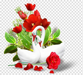 Flower , real flower transparent background PNG clipart Flower , real flower transparent background PNG clipart