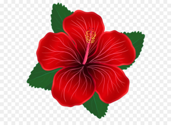 Flower Red Clip art - Red Flower PNG Clipart Image 