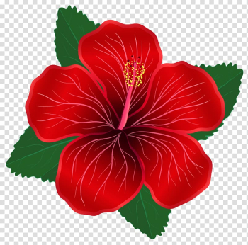 Flower Red , Red Flower transparent background PNG clipart Flower Red , Red Flower transparent background PNG clipart