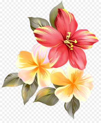 Flower Render - Bouquet of flowers Flower Render - Bouquet of flowers
