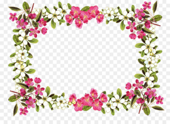 Flower Rose Clip art - Floral Frame PNG Image 