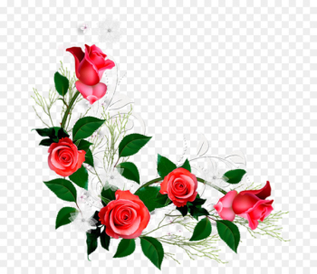 Flower Rose Clip art - flower Flower Rose Clip art - flower