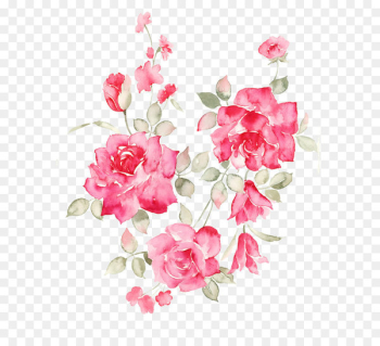 Flower Rose - flower Flower Rose - flower