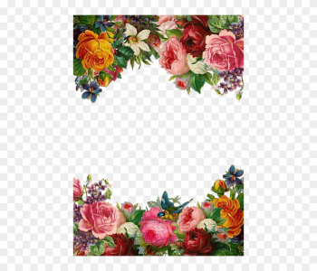 Flower, Rose, Frame, Collection, Vintage, Composition - Beautiful Flower Border Flower, Rose, Frame, Collection, Vintage, Composition - Beautiful Flower Border