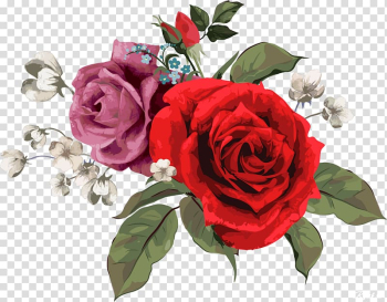 Flower Rose Pattern, rose transparent background PNG clipart Flower Rose Pattern, rose transparent background PNG clipart
