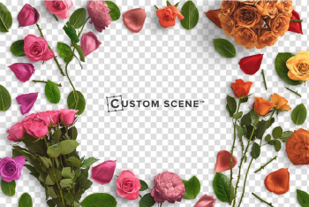 Flower Rose Petal, Rose background material transparent background PNG clipart