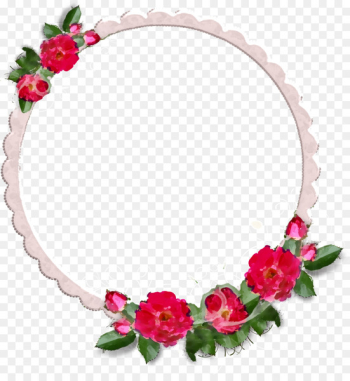 Flower Rose Photography - flower frames Flower Rose Photography - flower frames