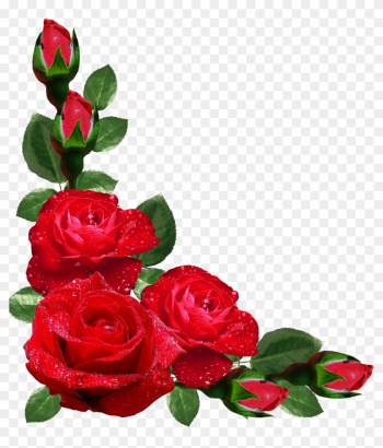 Flower Rose Picture Frames Japanese Border Designs - Rose Flower Frame Png Flower Rose Picture Frames Japanese Border Designs - Rose Flower Frame Png
