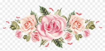 Flower Rose Pink Hash Florist - Watercolor Pink Roses Png